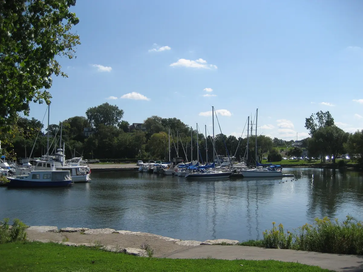 Boats at anchor in a quiet bayfront harbor with trees along the shore